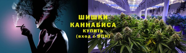 гашик Михайловск