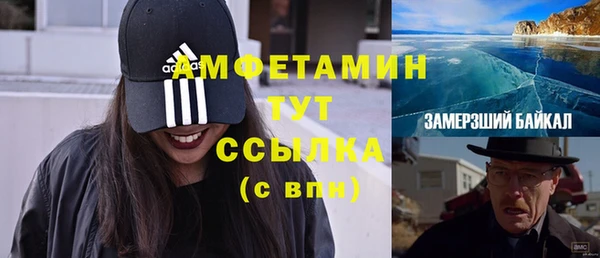 ПСИЛОЦИБИНОВЫЕ ГРИБЫ Михайловка