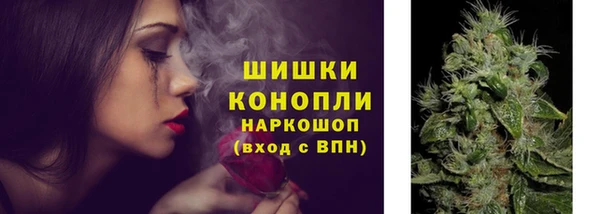 ПСИЛОЦИБИНОВЫЕ ГРИБЫ Михайловка