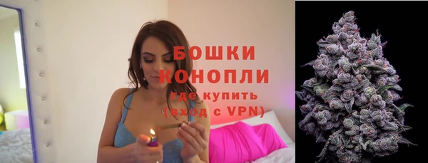 ПСИЛОЦИБИНОВЫЕ ГРИБЫ Михайловка