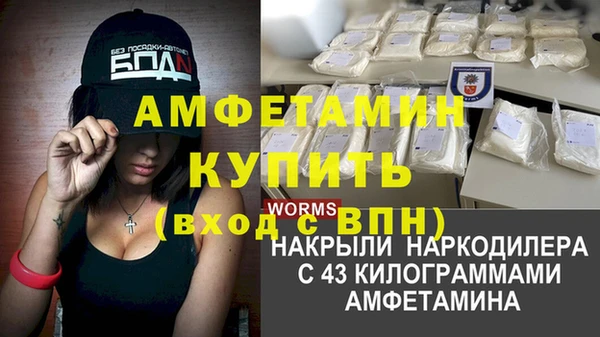ПСИЛОЦИБИНОВЫЕ ГРИБЫ Михайловка
