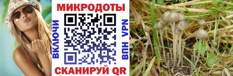 omg зеркало Ангарск нарко площадка клад Псилоцибиновые грибы Psilocybine cubensis